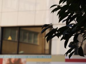 フリーランスや起業は事務所探しなど一から行う必要がある