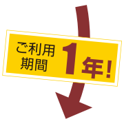 ご利用期間1年!