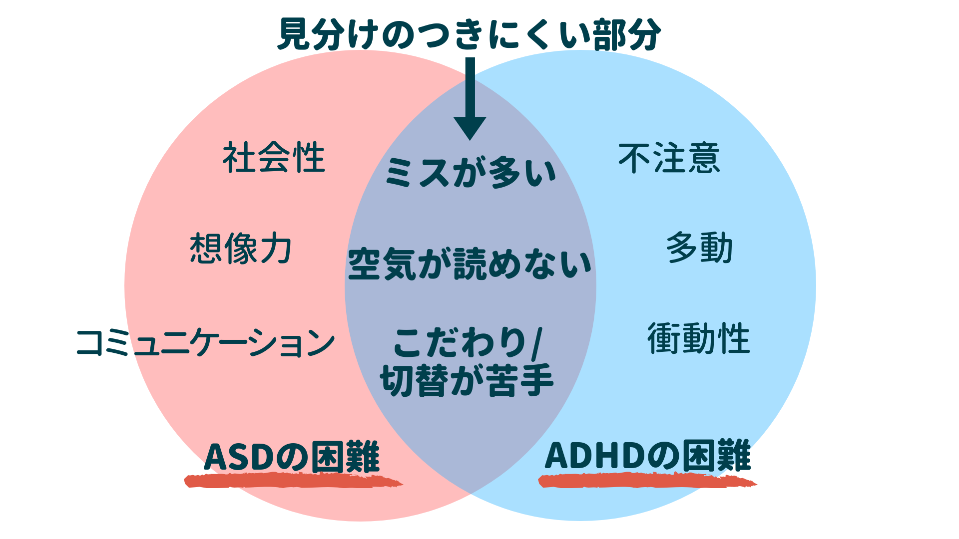 ASDとADHDの違い②