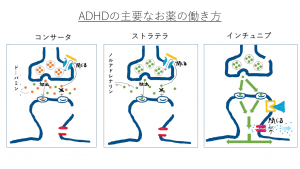 薬 子供 欠陥 注意 障害 コンサータの効果や副作用は？ストラテラとどう違うの？ADHDのある人に処方される薬コンサータを解説！【LITALICO発達ナビ】