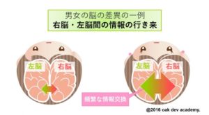 女性の発達障害を読み解くカギは 男女の脳の違い 宮尾医師 寄稿記事 株式会社kaien